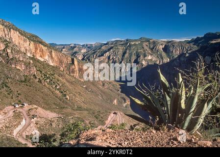 Straße nach Batopilas, Barranca de Batopilas, Barranca del Cobre (Copper Canyon), Sierra Tarahumara, Bundesstaat Chihuahua, Mexiko Stockfoto