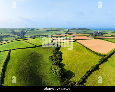 Farmen und Felder über der Mündung des Flusses Tamar von einer Drohne aus Cornwall, England Stockfoto