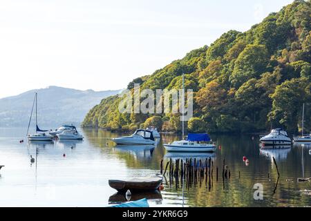 Wunderschöne Reflektionen von Bäumen und Booten auf Loch Lomond in Balmaha, Stirling, Schottland Stockfoto