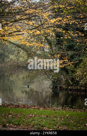 Vondel Park See in Amsterdam im Herbst 2 - Niederlande Stockfoto