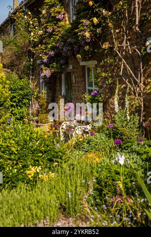 Großbritannien, England, Oxfordshire, Wroxton, Mills Lane, attraktiver kleiner Vorgarten von Honeysuckle Cottage, Cotswold Steinhaus Stockfoto