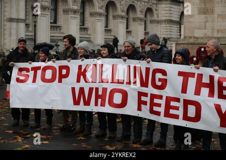 London, Großbritannien. November 2024. Bauern protestieren gegen die Änderung der Erbschaftssteuer von Labour in Westminster. Quelle: Uwe Deffner/Alamy Live News Stockfoto