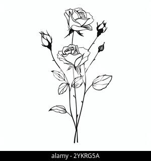Umrissene Rosenblume mit Stiel und Blättern auf weißem Hintergrund. Blühende Knospen, Dornen. Schwarze dünne Strichgrafik. Vintage-Vektorsymbol, Aufdruck, Logo Stock Vektor
