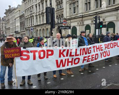 London, Großbritannien. November 2024. Bauern protestieren gegen die Änderung der Erbschaftssteuer von Labour in Westminster. Quelle: Uwe Deffner/Alamy Live News Stockfoto