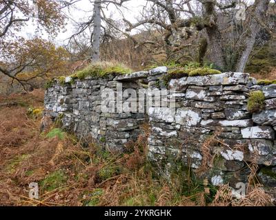 Croft Häuser wurden zwangsweise in den Räumungen am Ufer des Loch Moidart, Ardnamurchan, Schottland, Großbritannien, evakuiert. Stockfoto