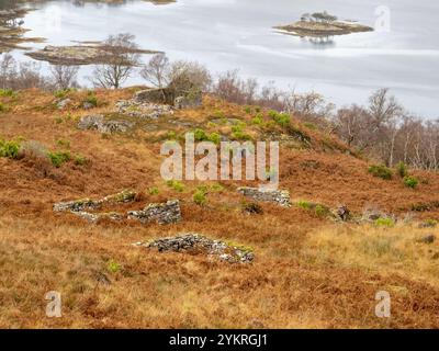 Croft Häuser wurden zwangsweise in den Räumungen am Ufer des Loch Moidart, Ardnamurchan, Schottland, Großbritannien, evakuiert. Stockfoto