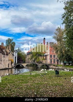 Wunderschöne Landschaft mit Schwänen in Brügge, Belgien. Die Brücke der Liebhaber. Stockfoto