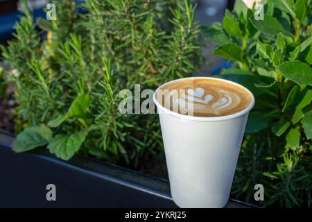 Latte Art Herzform in einer Einweg-Kaffeepapierbecher mit Rosmarin- und Lorbeerblättern, Topfpflanzen, Kopierraum Stockfoto