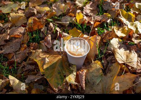 Latte Art in einem Einweg-Pappbecher, umgeben von goldenen Herbstblättern, Nahaufnahme Stockfoto