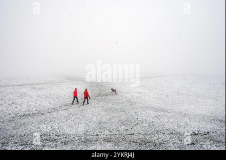 Starker Schnee fällt auf Selsley Common in der Nähe von Stroud in Gloucestershire, da das Gefrierwetter große Teile des Vereinigten Königreichs betrifft. Stockfoto