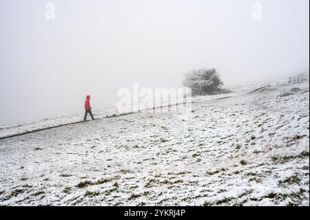 Starker Schnee fällt auf Selsley Common in der Nähe von Stroud in Gloucestershire, da das Gefrierwetter große Teile des Vereinigten Königreichs betrifft. Stockfoto