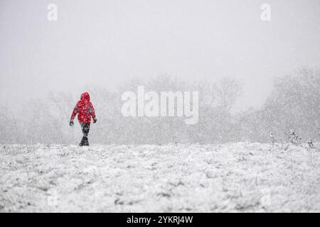 Starker Schnee fällt auf Selsley Common in der Nähe von Stroud in Gloucestershire, da das Gefrierwetter große Teile des Vereinigten Königreichs betrifft. Stockfoto