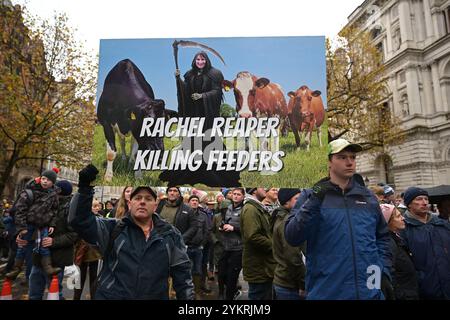 Westminster London, Großbritannien. November 2024. Landbesitzer und Menschen in den Landwirtschaftsgemeinden rund um das Vereinigte Königreich protestieren in London als Reaktion auf die Entscheidung von Kanzlerin Rachel Reeves, erstmals seit 1992 eine 20-prozentige Erbschaftssteuer auf Ackerland mit einem Erzwert von über 1 Mio. £ zu erheben. Credit: MARTIN DALTON/Alamy Live News Stockfoto