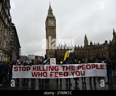 LONDON, GROSSBRITANNIEN. November 2024. Gegen die Erbschaftssteuer protestieren Tausende von Bauern aus ganz England und Wales außerhalb der Downing Street. (Foto von 李世惠/siehe Li/Picture Capital) Credit: Siehe Li/Picture Capital/Alamy Live News Stockfoto