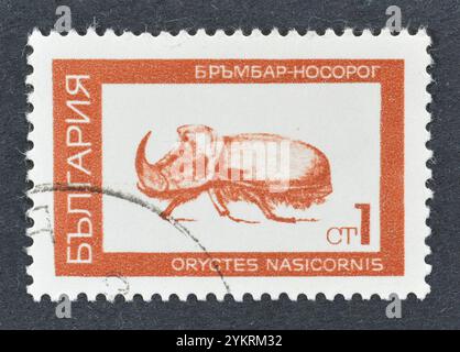 Von Bulgarien gedruckte gestempelte Briefmarke, auf der der Europäische Rhinozeroskäfer (Oryctes nasicornis) zu sehen ist, um 1968. Stockfoto