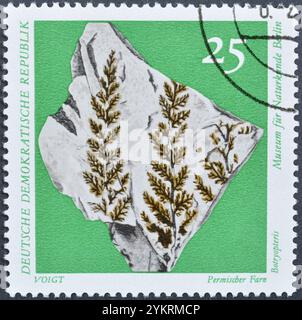 Gestempelte Briefmarke der DDR, die Permfarn (Botryopteris), Fossilien im Naturhistorischen Museum Berlin zeigt Stockfoto