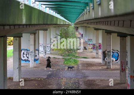 Markkleeberg, Deutschland. November 2024. Mehrere zusätzliche Stützen wurden unter der Brücke durch den Agra Park installiert. Die Brücke der Bundesstraße 2 über den Agrapark ist eine von 19 Brücken in Sachsen, die ein ähnliches Schicksal wie die Dresdner Carola-Brücke haben könnten. Wie die Carola-Brücke, die in der Nacht des 11. September teilweise einstürzte, sind alle diese Brücken sogenannte Spannbetonbrücken aus den 1960er bis 1980er Jahren Sie enthalten „Vorspannstahl mit Risiko von Spannungsrissen“. Sie werden derzeit einer intensiven Untersuchung unterzogen. Quelle: Jan Woitas/dpa/Alamy Live News Stockfoto