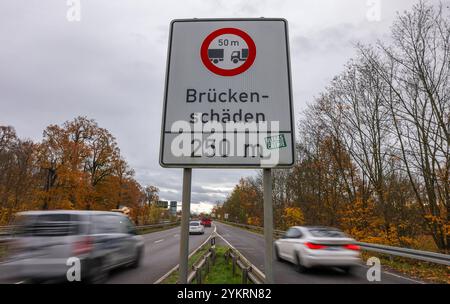 Markkleeberg, Deutschland. November 2024. Ein Schild weist auf eine Beschädigung der Brücke vor der Brücke über den Agra Park hin. Die Brücke an der Bundesstraße 2 ist eine von 19 Brücken in Sachsen, die ein ähnliches Schicksal wie die Dresdner Carola-Brücke haben könnten. Wie die Carola-Brücke, die in der Nacht des 11. September teilweise einstürzte, sind alle diese Brücken sogenannte Spannbetonbrücken aus den 1960er bis 1980er Jahren Sie enthalten „Vorspannstahl mit Risiko von Spannungsrissen“. Sie werden derzeit einer intensiven Untersuchung unterzogen. Quelle: Jan Woitas/dpa/Alamy Live News Stockfoto