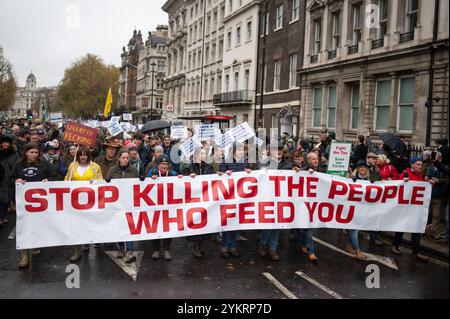 London, Großbritannien. November 2024. Demonstranten halten ein Banner mit der Aufschrift „hört auf, die Menschen zu töten, die euch ernähren“. Die britischen Bauern demonstrieren in London gegen Steueränderungen, die die Labour-Regierung im Haushalt 2024 vorgenommen hat. Quelle: David Tramontan / Alamy Live News Stockfoto