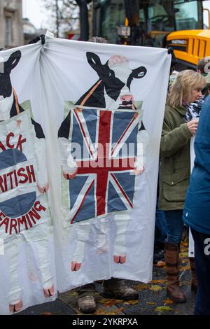 London, England, Großbritannien. November 2024. Bauern protestieren vor Whitehall mit Hunderttausenden von Bauern aus ganz Großbritannien auf die Straßen von Westminster vor Whitehall Credit: Richard Lincoln/Alamy Live News Stockfoto