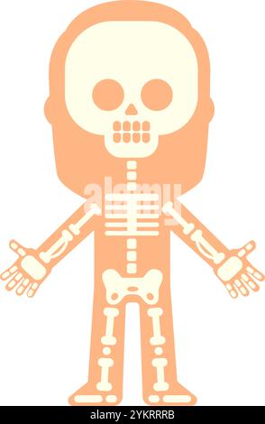 Stilisierte Illustration, die menschliche Skelettknochen innerhalb der Körpersilhouette zeigt, geeignet für pädagogische oder medizinische Zwecke, mit offenen Armen Stock Vektor