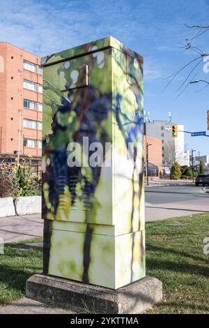 Grapes-Wandbild an der Verkehrskontrollbox an der Victoria Avenue in Clifton Hill, Niagara Falls, Ontario, Kanada Stockfoto