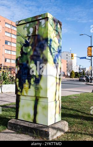 Grapes-Wandbild an der Verkehrskontrollbox an der Victoria Avenue in Clifton Hill, Niagara Falls, Ontario, Kanada Stockfoto