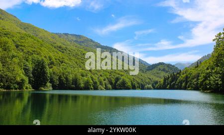 Ruhiger Bergsee, grüne Weite des Wassers, frischer Wald auf den Bergen. Wunderschöne horizontale Landschaft Montenegros Stockfoto