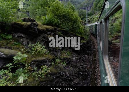 Blick aus dem Inneren des Flåm-Eisenbahnzuges in Norwegen, Fahrt durch dichte Bergvegetation. Die malerische Route zeigt üppiges Grün A Stockfoto