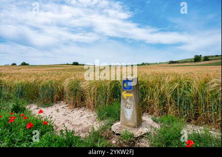 Das Schild mit der Muschel zeigt in Richtung des Camino-Weges Stockfoto