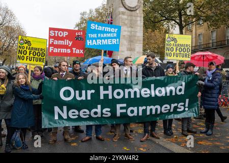 Bauernprotest am 19. November 2024 in London Stockfoto