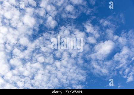 Diferentes formaciones de nubes en el cielo azul por la tarde Stockfoto