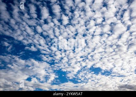 Diferentes formaciones de nubes en el cielo azul por la tarde Stockfoto