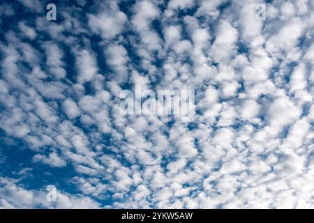 Diferentes formaciones de nubes en el cielo azul por la tarde Stockfoto