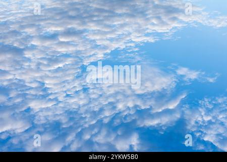 Diferentes formaciones de nubes en el cielo azul por la tarde Stockfoto