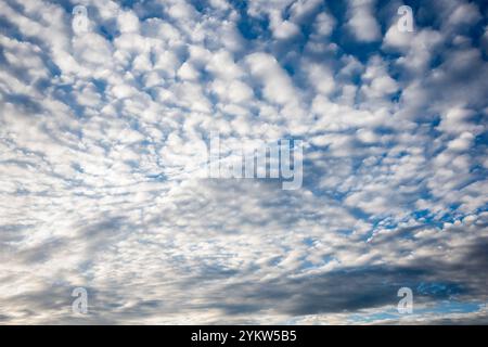 Diferentes formaciones de nubes en el cielo azul por la tarde Stockfoto