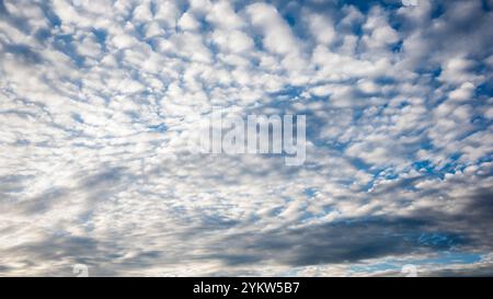 Diferentes formaciones de nubes en el cielo azul por la tarde Stockfoto