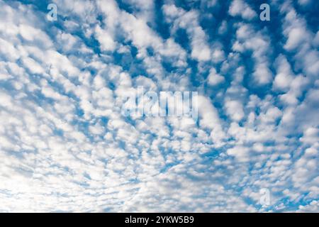 Diferentes formaciones de nubes en el cielo azul por la tarde Stockfoto