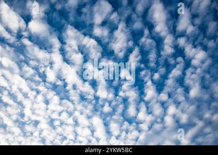 Diferentes formaciones de nubes en el cielo azul por la tarde Stockfoto