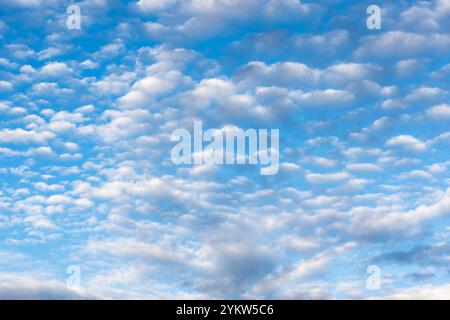 Diferentes formaciones de nubes en el cielo azul por la tarde Stockfoto