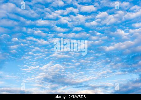 Diferentes formaciones de nubes en el cielo azul por la tarde Stockfoto