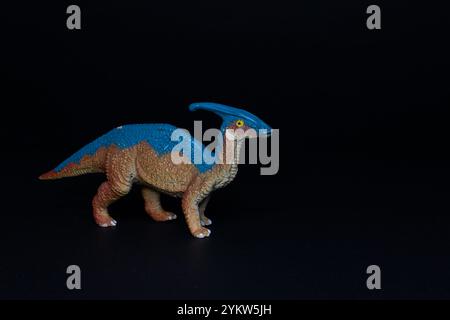 Parasaurolophus-Dinosaurierfigur auf schwarzem Hintergrund. Stockfoto