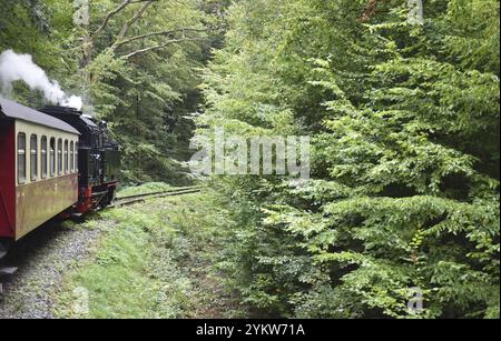 Die Selketalbahn, Harzer Schmalspurbahn, Brockenbahn führt durch den Harz, Sachsen-Anhalt, Deutschland, Europa Stockfoto