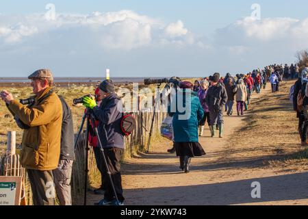 Besuch von Donna Nook, um die jungen Robbenjungen zu sehen Stockfoto