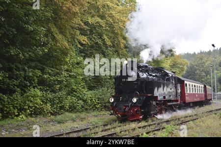 Die Selketalbahn, Harzer Schmalspurbahn, Brockenbahn führt durch den Harz, Sachsen-Anhalt, Deutschland, Europa Stockfoto