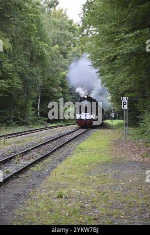 Die Selketalbahn, Harzer Schmalspurbahn, Brockenbahn führt durch den Harz, Sachsen-Anhalt, Deutschland, Europa Stockfoto