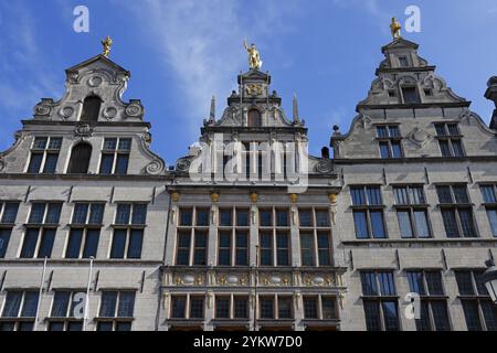 Historische Gildenhäuser, Gildenhäuser, Fassaden mit goldenen Figuren auf den Giebeln, Grote Markt, historisches Stadtzentrum, Antwerpen, Flandern, Belgien, Europa Stockfoto