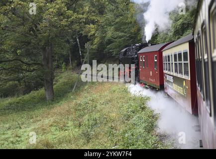 Die Selketalbahn, Harzer Schmalspurbahn, Brockenbahn führt durch den Harz, Sachsen-Anhalt, Deutschland, Europa Stockfoto