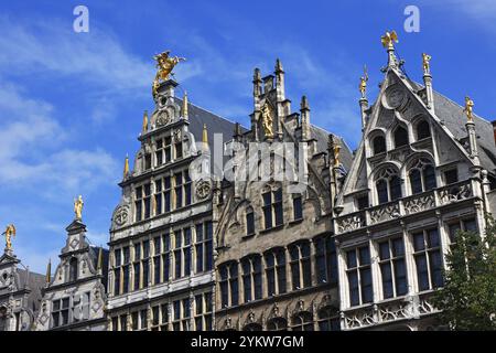 Historische Gildenhäuser, Gildenhäuser, Fassaden mit goldenen Figuren auf den Giebeln, Grote Markt, historisches Stadtzentrum, Antwerpen, Flandern, Belgien, Europa Stockfoto