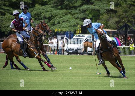 Szene aus der 131. Argentine Open Polo Championship (Spanisch: Campeonato Argentino Abierto de Polo), dem wichtigsten internationalen Polo-Tournamen Stockfoto